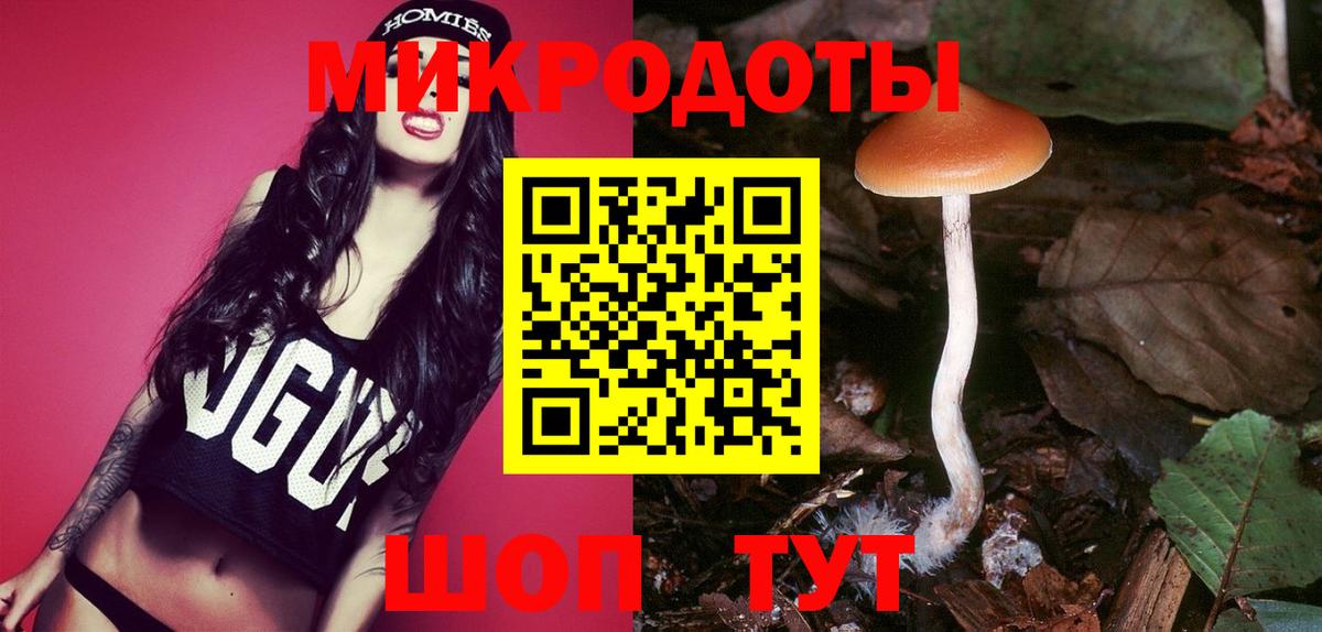 Братск  Галлюциногенные грибы Magic Shrooms  Вход с VPN 