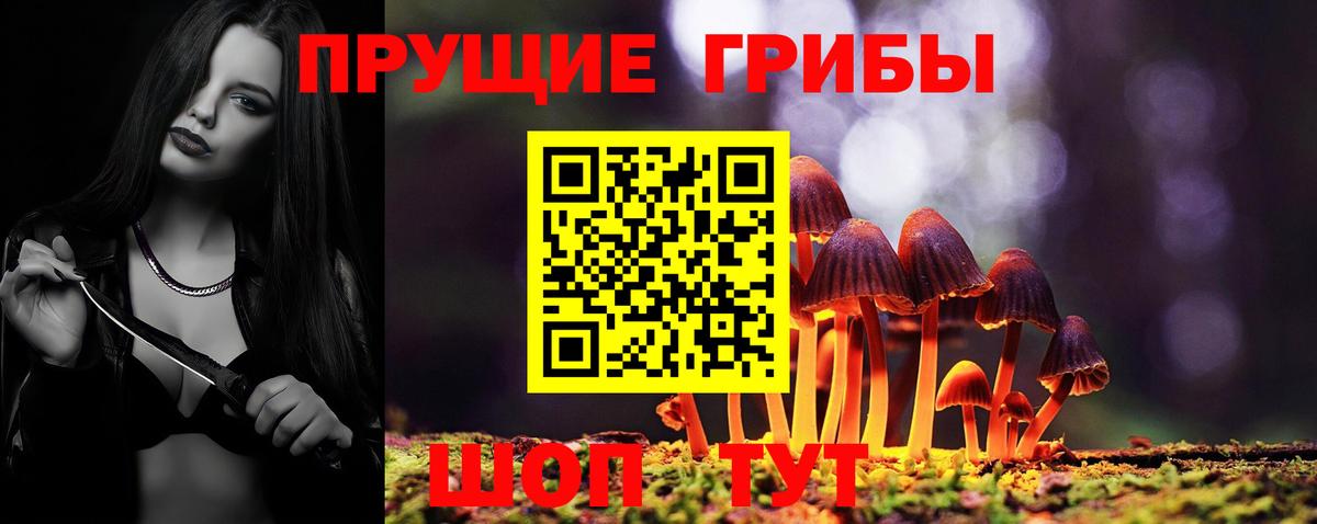 Галлюциногенные грибы прущие грибы Братск